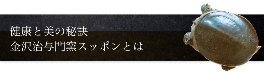 健康と美の秘訣。金沢治与門窯スッポンとは